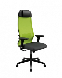 Кресло ErgoLife Set 11/подл.200/осн.Sit 002